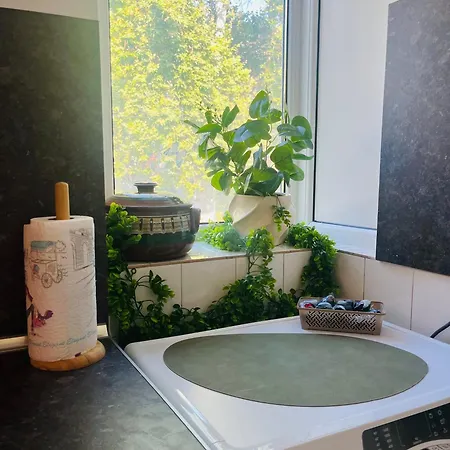 Detelina Bee Happy In Daire
